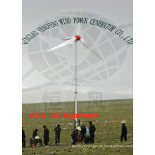 China cheap 10KW Wind power generator,small wind turbine with cost